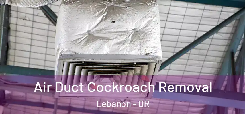  Air Duct Cockroach Removal Lebanon - OR