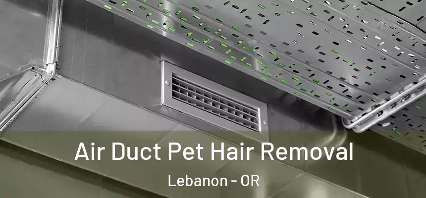  Air Duct Pet Hair Removal Lebanon - OR