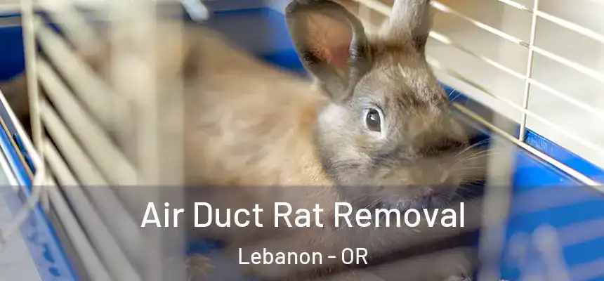  Air Duct Rat Removal Lebanon - OR