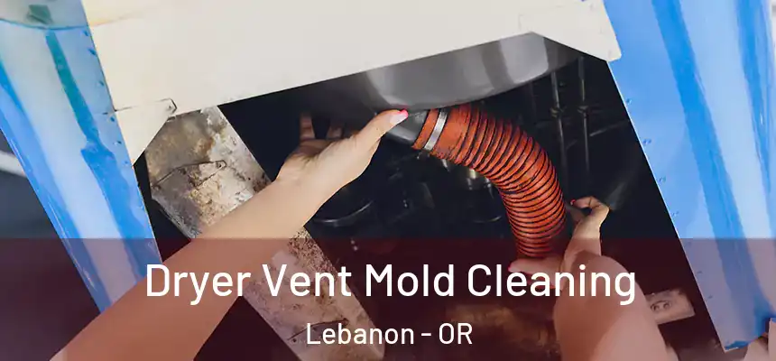  Dryer Vent Mold Cleaning Lebanon - OR