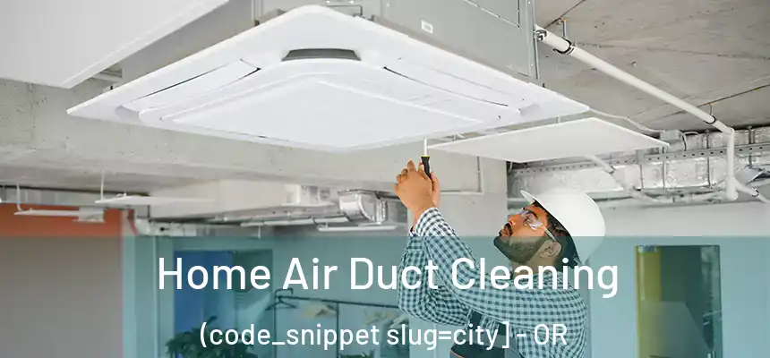  Home Air Duct Cleaning (code_snippet slug=city] - OR