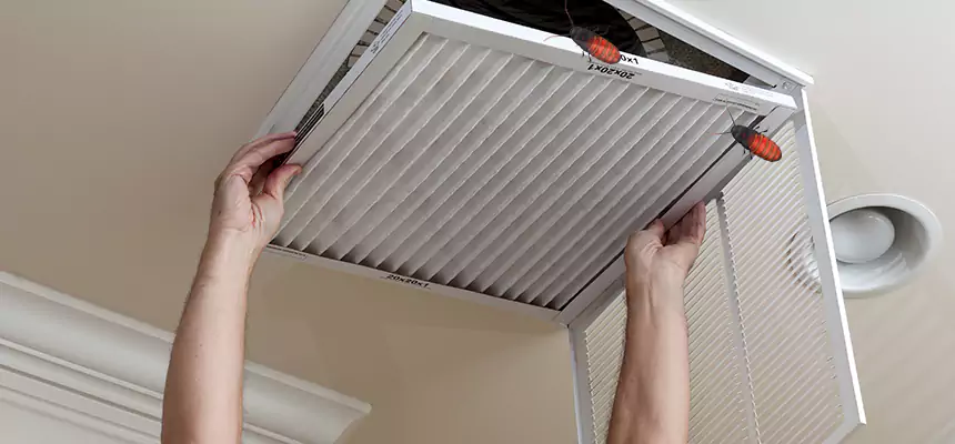 Preventive Cockroach-Proofing for Ducts in Lebanon