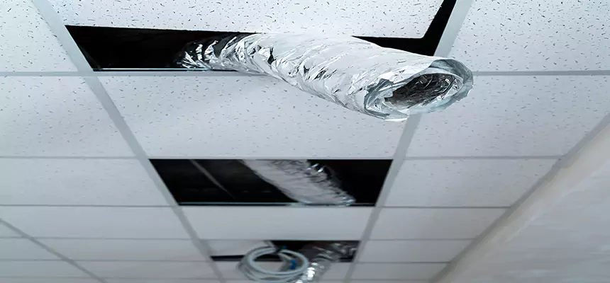 Our Air Duct Pet Hair Removal Services in Lebanon, OR