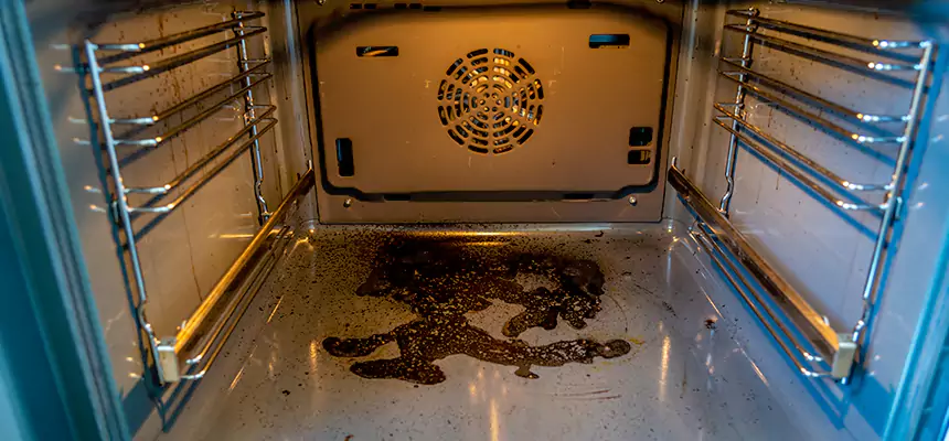 Our Dryer Vent Mold Cleaning Services in Lebanon, OR