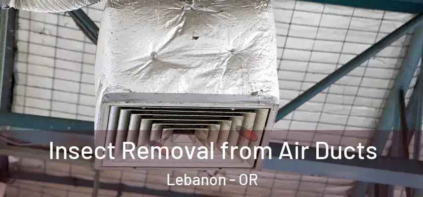  Insect Removal from Air Ducts Lebanon - OR