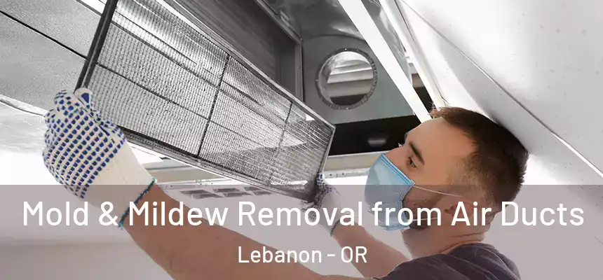  Mold & Mildew Removal from Air Ducts Lebanon - OR