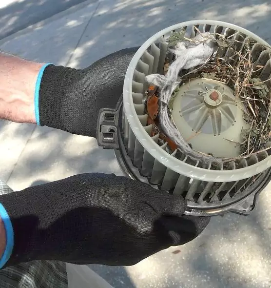 About Air Duct Mice Removal in Lebanon, OR