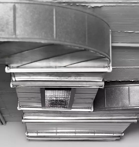 Professional Air Duct Pest Removal in Lebanon, OR