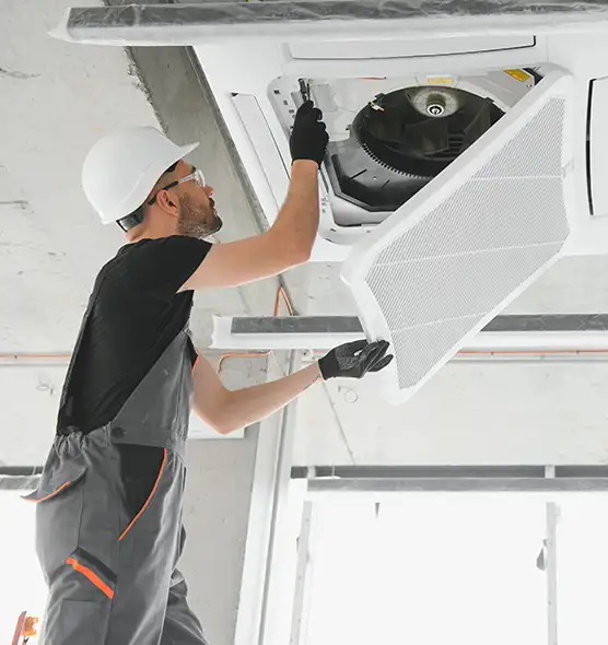 About Air Duct Rodent Removal in Lebanon, OR