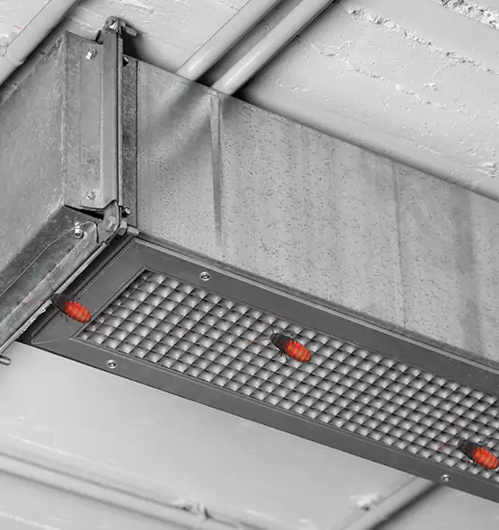 Affordable Insect Removal from Air Ducts in Lebanon, OR