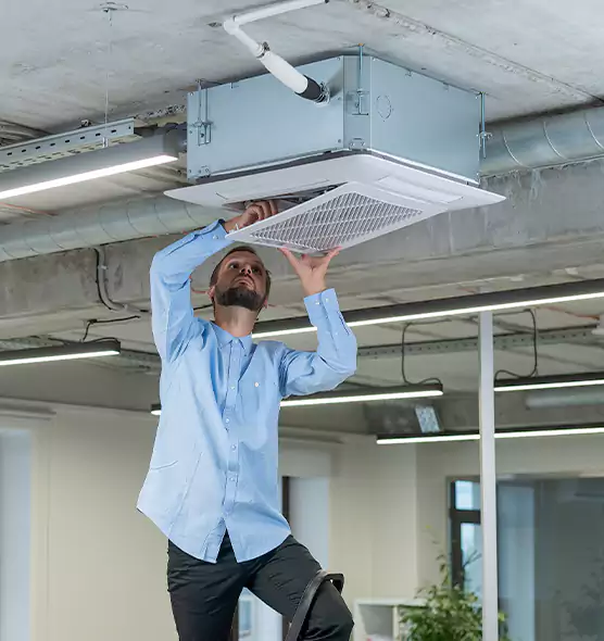 Advanced Rodent Droppings In Vents in Lebanon, OR