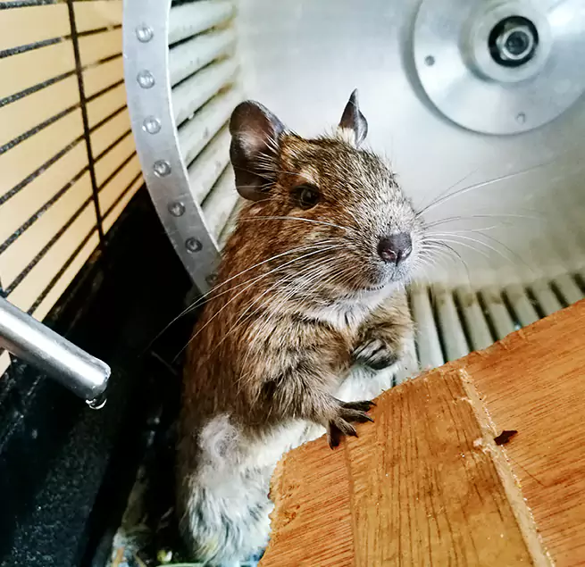 Why Homeowners & Businesses Trust Us Lebanon, OR