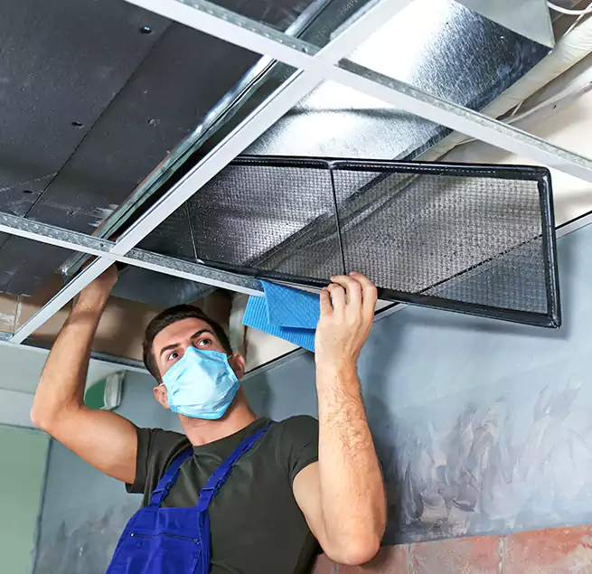 Why Homeowners Businesses Trust Us in Lebanon, OR