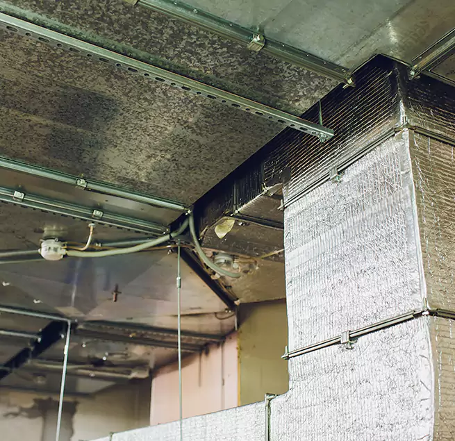 Why Homeowners & Businesses Trust Us in Lebanon, OR?